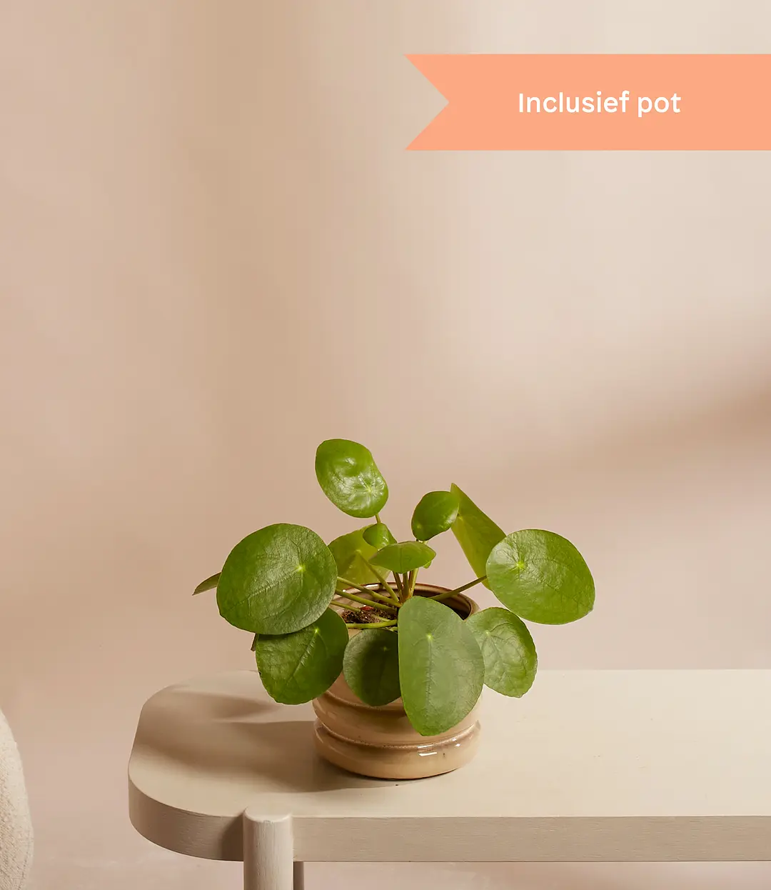 bloomon bloemenbezorging  Bloemen en cadeaus